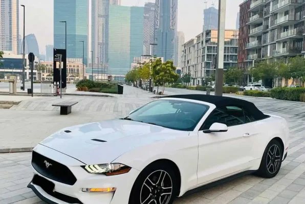 dubai rent car (13)