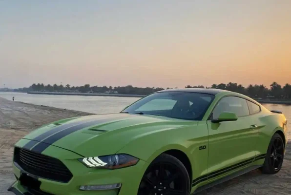 dubai rent car (14)