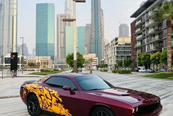 dubai rent car (9)